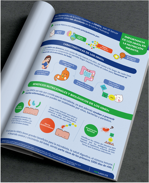Importancio de los hmos en la nutricion infantil