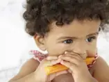 Panorama Nutrimental y Patrones Alimenticios en Niños Pequeños Panorama Nutrimental y Patrones Alimenticios en Niños Pequeños