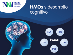 HMOs y desarrollo cognitivo