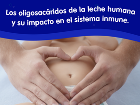 Los oligosacáridos de la leche humana y su impacto en el sistema inmune.
