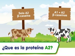 ¿Qué es la leche A2? (infographics)