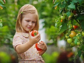 Aplicación de modelos dietéticos para la optimización de la alimentación complementaria (publications)