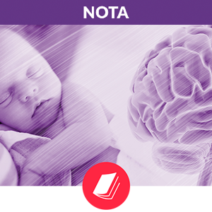 El rol de los lípidos en el crecimiento cerebral (news)