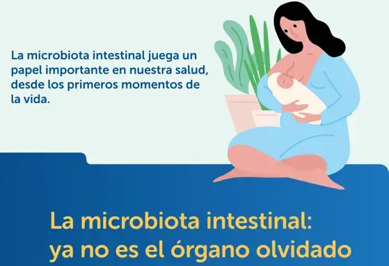 La microbiota intestinal