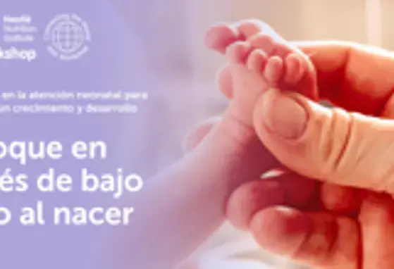 Banner registro workshop96th