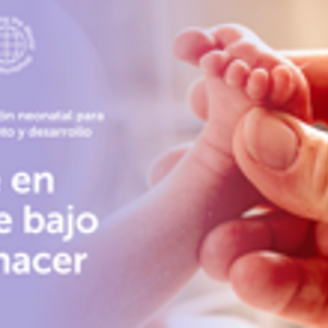 Banner registro workshop96th