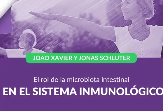 El rol de la microbiota intestinal en el sistema inmunológico