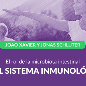 El rol de la microbiota intestinal en el sistema inmunológico
