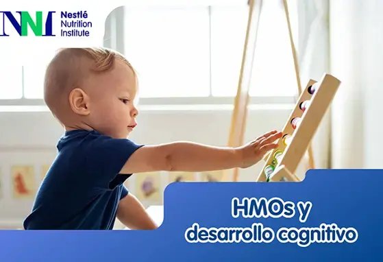 HMOs y desarrollo cognitivo