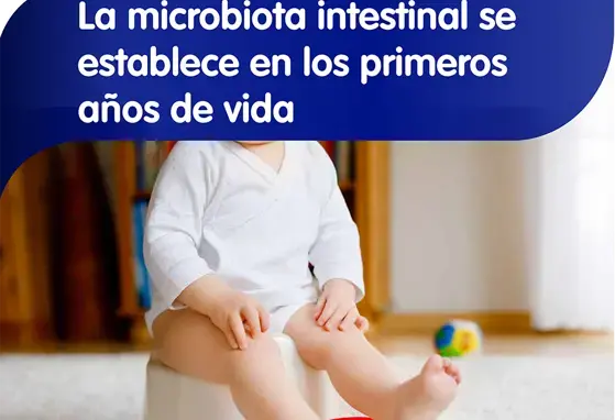 La microbiota intestinal se establece en los primeros años de vida