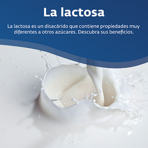 Desmitificando azúcares: Lactosa