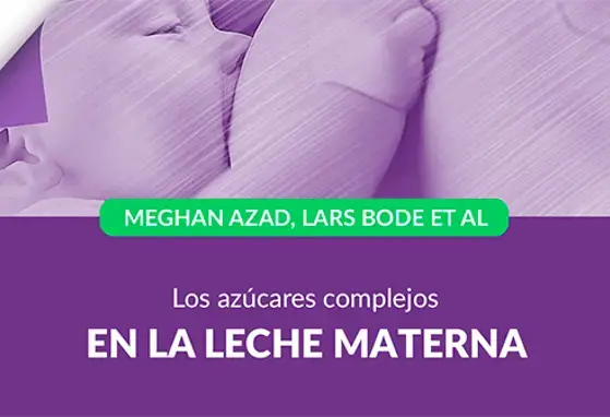 Los azúcares complejos en la leche materna Los azúcares complejos en la leche materna