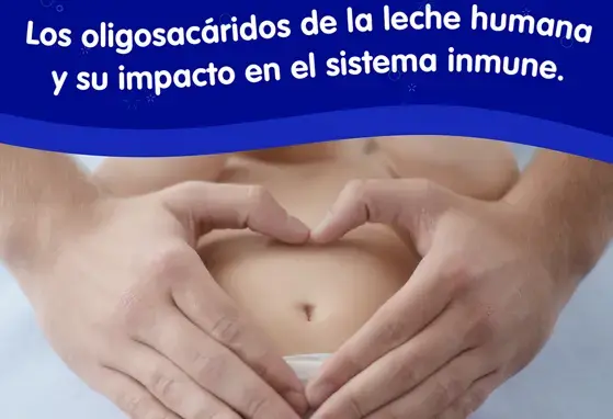 Los oligosacáridos de la leche humana y su impacto en el sistema inmune.