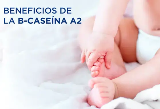 Beneficios de la B-caseína A2 (infographics)