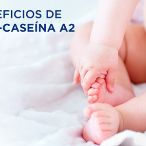 Beneficios de la B-caseína A2 (infographics)