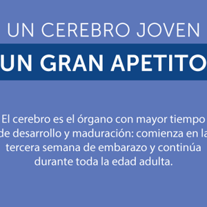Un cerebro joven, un gran apetito (infographics)