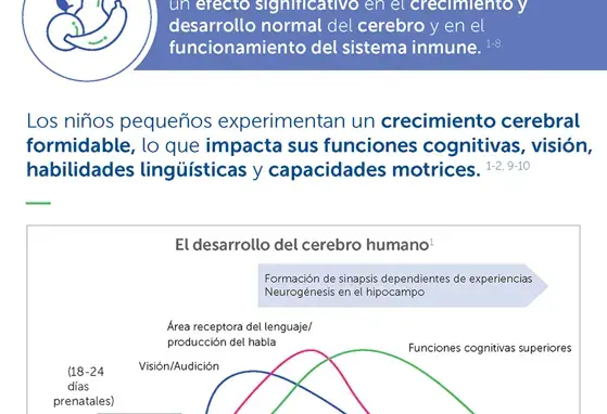¿Cómo se asocia la nutrición con el desarrollo del niño pequeño? (infographics)