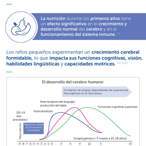 ¿Cómo se asocia la nutrición con el desarrollo del niño pequeño? (infographics)
