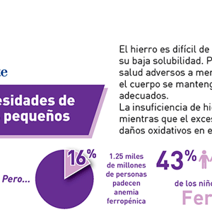 Cubriendo las necesidades de hierro de los niños pequeños (infographics)