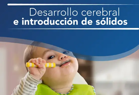 Desarrollo cerebral e introducción de sólidos (infographics) Desarrollo cerebral e introducción de sólidos (infographics)