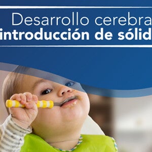 Desarrollo cerebral e introducción de sólidos (infographics)