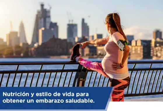 Nutrición y estilo de vida para obtener un embarazo saludable (infographics) Nutrición y estilo de vida para obtener un embarazo saludable (infographics)