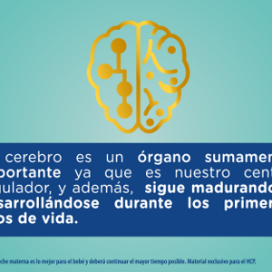 Desarrollo Mental (infographics)