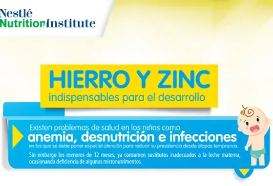 Hierro y Zinc indispensables para el desarrollo (infographics) Hierro y Zinc indispensables para el desarrollo (infographics)