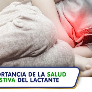 Importancia de la salud digestiva del lactante (infographics)