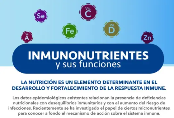 INMUNONUTRIENTES y sus funciones (infographics)