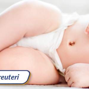 L. reuteri (infographics)