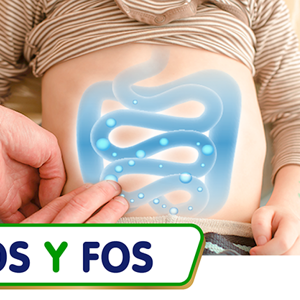 GOS y FOS (infographics)