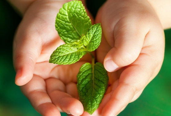 NNIW89 Brochure: Investigaciones recientes sobre nutrición y crecimiento