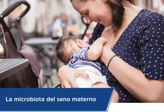 La microbiota del seno materno (infographics)