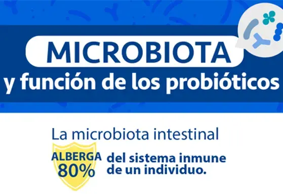 Microbiota y función de los probióticos (infographics)