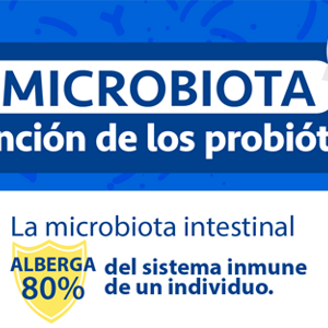 Microbiota y función de los probióticos (infographics)