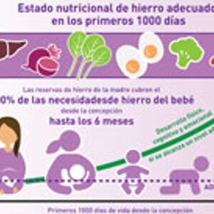 Satisfacer las necesidades de hierro de los niños (infographics)