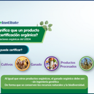 ¿Qué significa que un producto tenga  certificación orgánica? (infographics)
