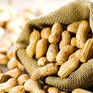 Los hallazgos de un estudio muestran que la introducción tardía de los alimentos incrementa el riesgo de sensibilización (news)