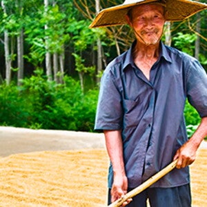 Desnutrición prenatal y salud posnatal (news)