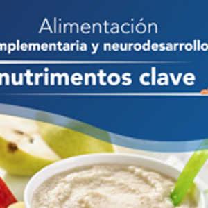 Alimentación complementaria y neurodesarrollo: nutrimentos clave (infographics)