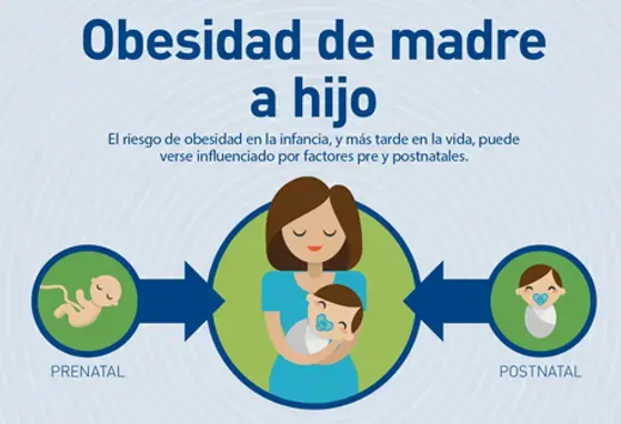 Obesidad de madre a hijo (infographics)