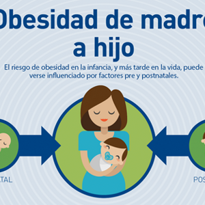 Obesidad de madre a hijo (infographics)