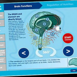 Herramientas Prácticas y Capacitación