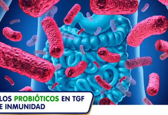 Los probióticos en TGF e Inmunidad (infographics)
