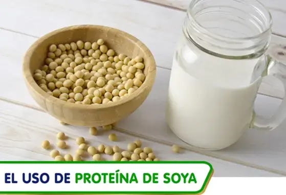 El uso de proteína de soya (infographics)