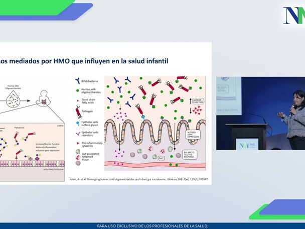 Importancia de la diversidad de los HMOs y sus efectos en el desarrollo cognitivo e inmunológico.