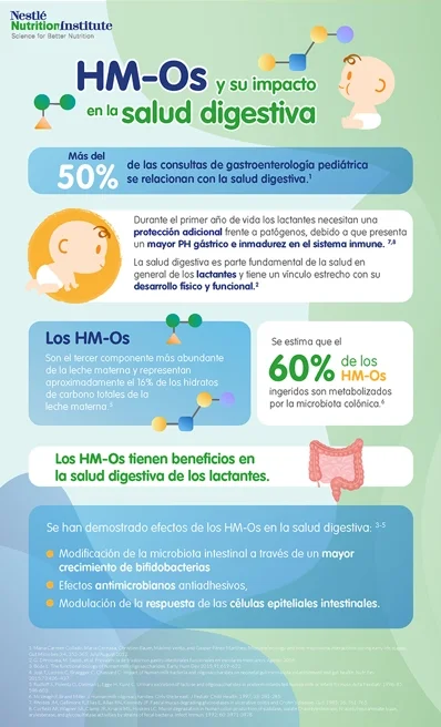 HM-Os y su impacto en la salud digestiva (infographics)