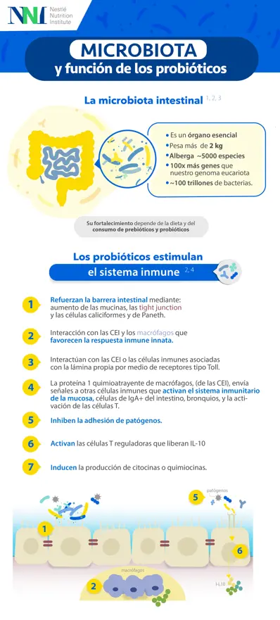 Microbiota y función de los probióticos (infographics)