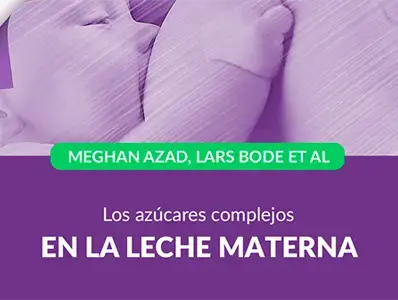 Los azúcares complejos en la leche materna Los azúcares complejos en la leche materna